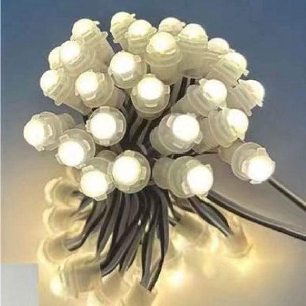 LED Pixel String Light